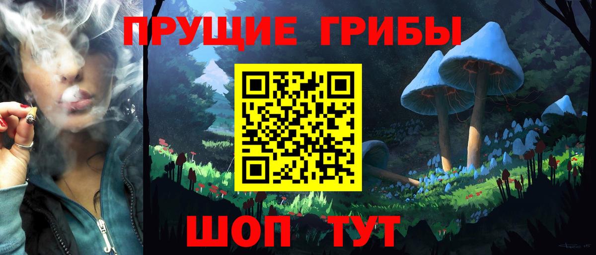Улан-Удэ  Галлюциногенные грибы прущие грибы  купить наркотик  Вход с VPN 